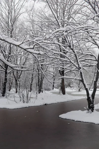Parque de inverno coberto de neve e bancos. Parque e cais para alimentação — Fotografia de Stock