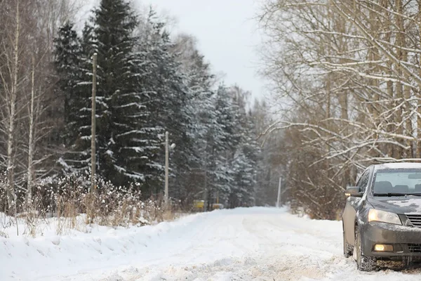 The car is gray on the road in the forest. A trip to the country — Stock Photo, Image