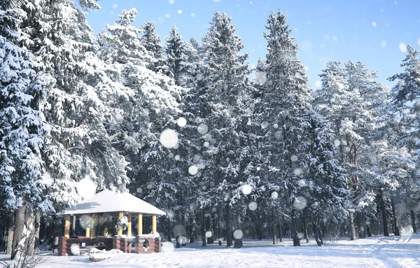 Holzlaube im Wald im winterlichen Schneesturm — Stockfoto