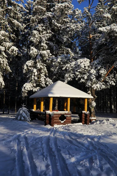 Gazebo de madera en el bosque en invierno día soleado — Foto de Stock