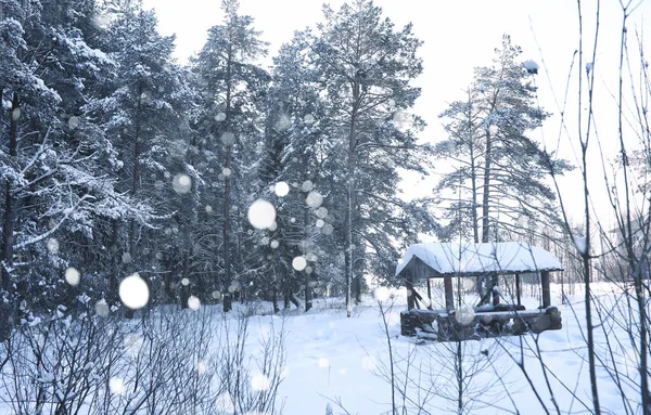 Gazebo de madeira na floresta no inverno nevasca de neve — Fotografia de Stock