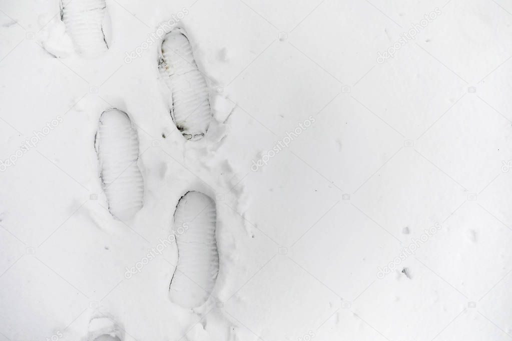 Footprints in the snow. Footprints on the first snow. Imprint of