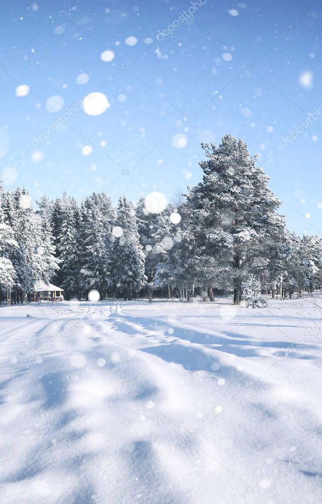 wooden gazebo in forest in the winter snow blizzard