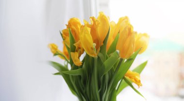 Pencere üzerinde bir vazoda kırmızı lale buketi. Kırmızı lale çiçek üzerinden bir womans günü için bir hediye. Cam kenarında bir vazoda güzel kırmızı çiçekler.