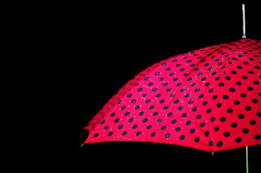 yağmur damla şemsiye izole