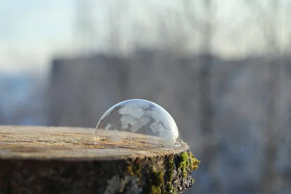 As bolhas de sabão congelam no frio. A água ensaboada do inverno congela em t — Fotografia de Stock