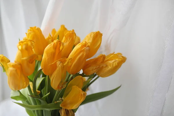 窓辺の花瓶に黄色いチューリップの花束。ギフト t — ストック写真