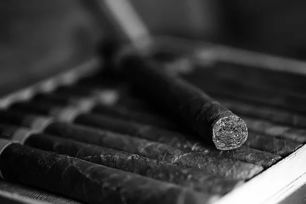 Monochromes Foto einer großen Holzkiste mit handgemachten kubanischen Zigarren — Stockfoto
