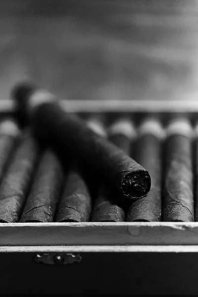 Fekete-fehér fénykép, a nagy fa doboz szivar kézzel kubai — Stock Fotó