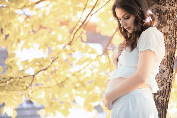 Mulher grávida na natureza para um passeio no outono — Fotografia de Stock