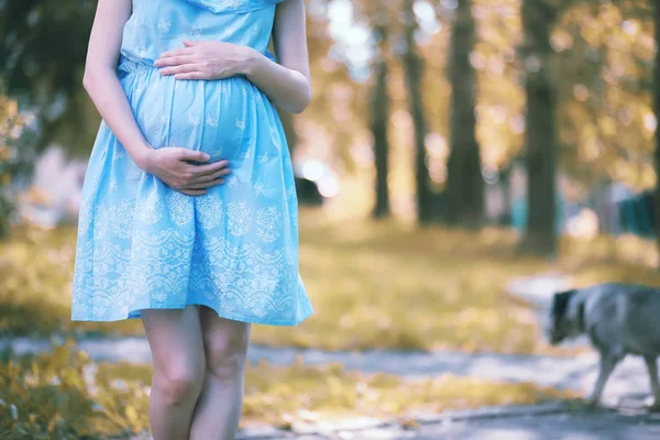 Těhotná dívka v šatech v přírodě — Stock fotografie