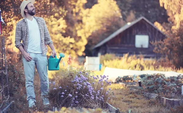 Людина фермер поливає овочевий сад — стокове фото