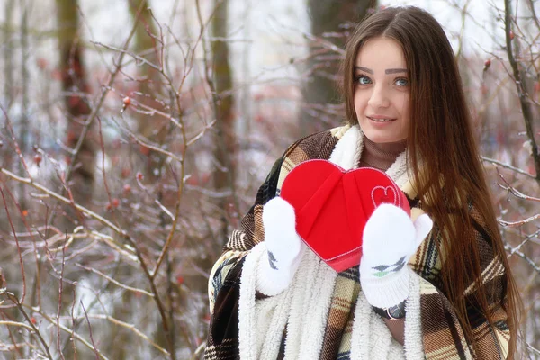 Junge schöne Mädchen im Winter verschneiten Tag — Stockfoto