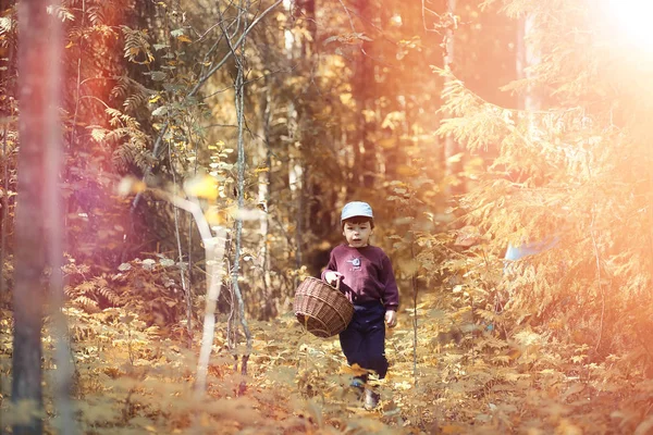 A falu a gyermekek séta az őszi erdőben és a gathe — Stock Fotó