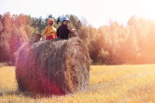 Les enfants du village marchent à travers la forêt d'automne et la gathe — Photo