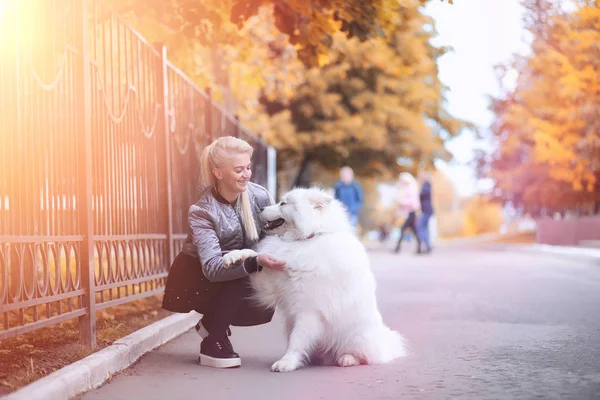 Härlig flicka på promenad med en vacker hund — Stockfoto