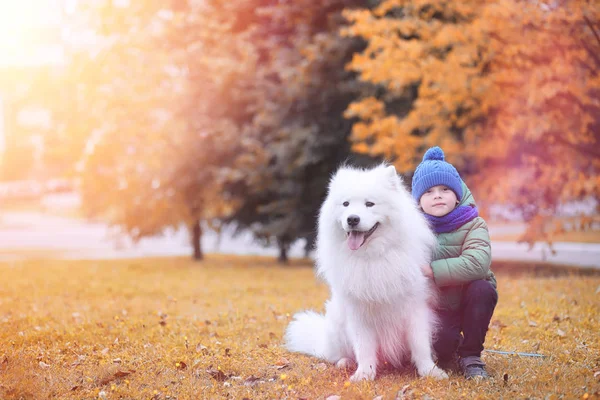 美しい犬と散歩中の素敵な女の子 — ストック写真