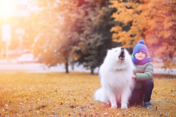 Mooi meisje op een wandeling met een mooie hond — Stockfoto
