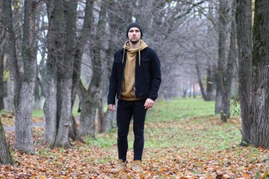 Genç adam bir sonbaharda sakal.