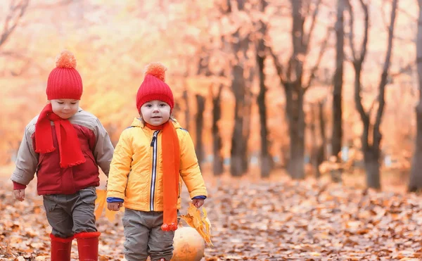 孩子们在自然界中行走。暮光的孩子们四处走动 — 图库照片