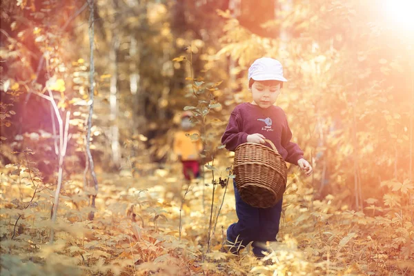 Les enfants du village marchent à travers la forêt d'automne et la gathe — Photo