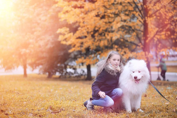 Härlig flicka på promenad med en vacker hund — Stockfoto