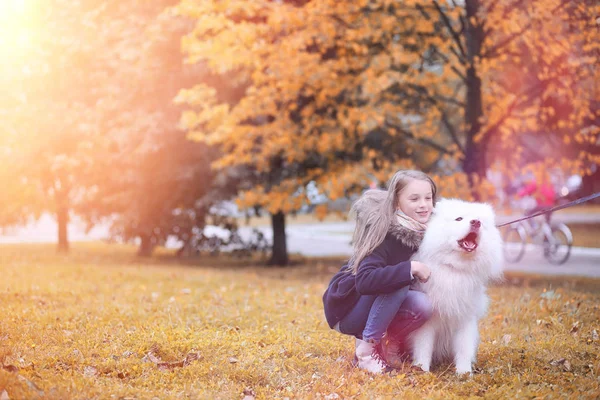 Härlig flicka på promenad med en vacker hund — Stockfoto