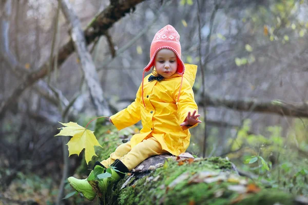 Los niños están caminando en el parque de otoño —  Fotos de Stock