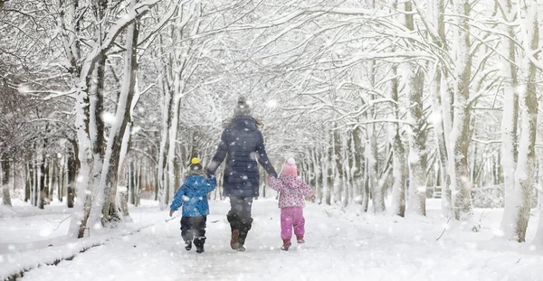 Zimowy park pod śniegiem. Burza śnieżna w parku miejskim. Park f — Zdjęcie stockowe