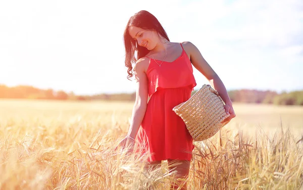 Una joven en un campo de trigo. Paisaje de verano y una chica en una na — Foto de Stock