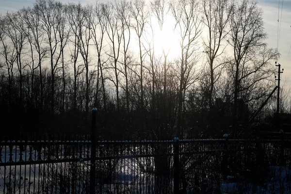 Fence with spikes sun — Stock Photo, Image