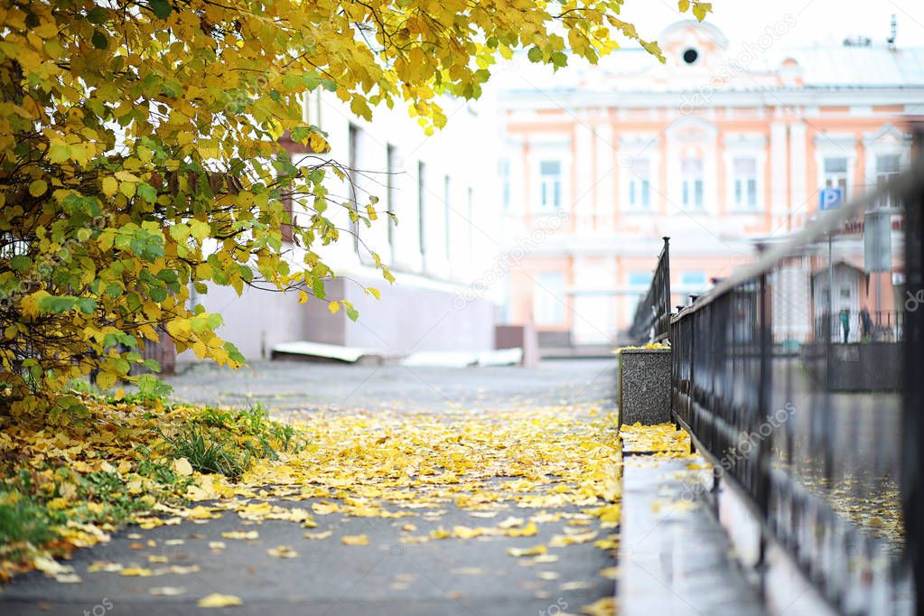 Autumn landscape. The leaves fly from the trees in the city. Aut