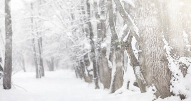 Karla kaplı Kış park ve banklar. Park ve beslenme için pier 
