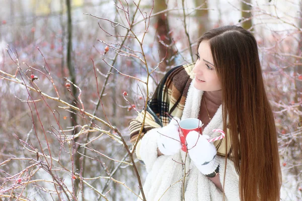 Όμορφη κοπέλα με μέρα του χειμώνα χιονισμένο — Φωτογραφία Αρχείου