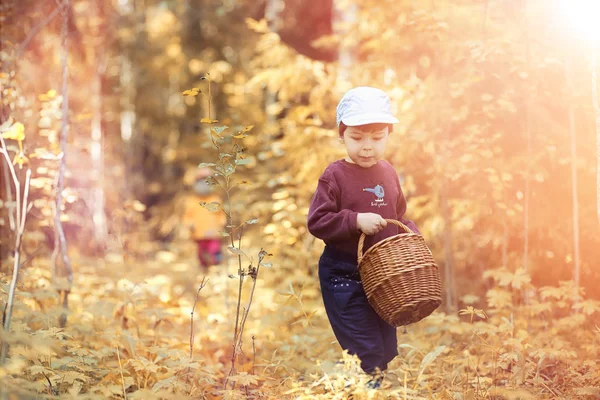 Les enfants du village marchent à travers la forêt d'automne et la gathe — Photo