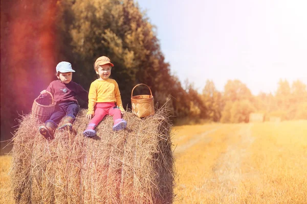 Les enfants du village marchent à travers la forêt d'automne et la gathe — Photo