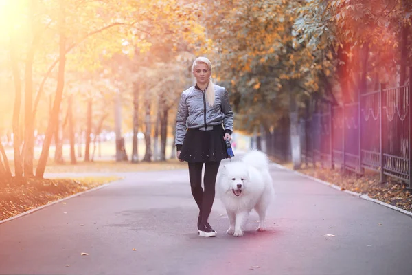 Menina encantadora em um passeio com um belo cão — Fotografia de Stock