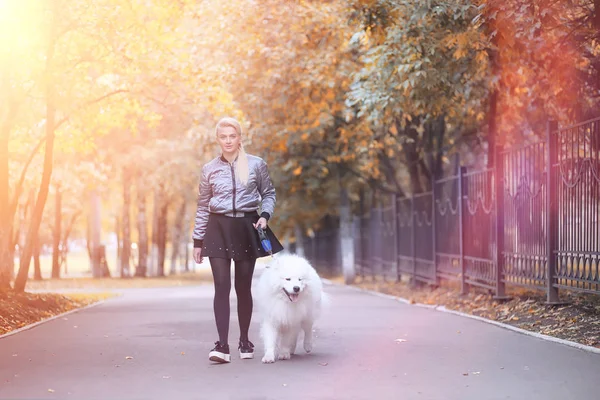 Härlig flicka på promenad med en vacker hund — Stockfoto