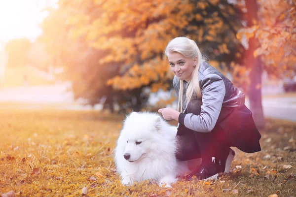 Härlig flicka på promenad med en vacker hund — Stockfoto