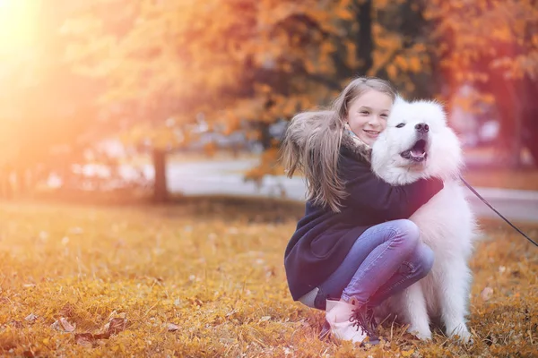 Härlig flicka på promenad med en vacker hund — Stockfoto
