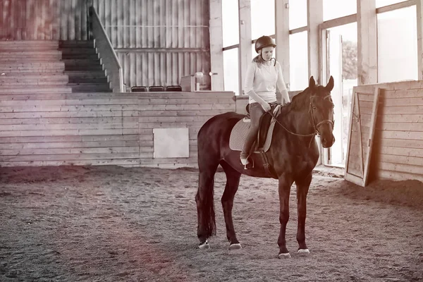 Jóvenes en un entrenamiento de caballos en arena de madera — Foto de Stock