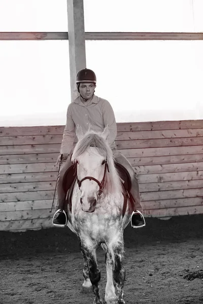 Молодь на тренувальному коні на дерев'яній арені — стокове фото