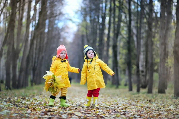Çocuklar sonbahar parkında yürüyor. — Stok fotoğraf