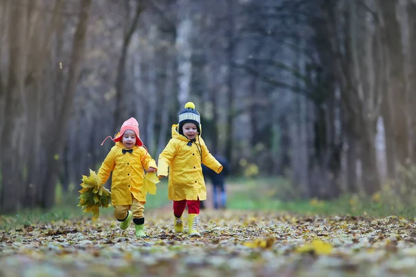 Los niños están caminando en el parque de otoño —  Fotos de Stock