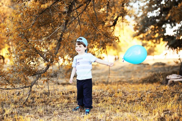 Küçük çocuk sonbahar Park'ta yürüyordunuz — Stok fotoğraf