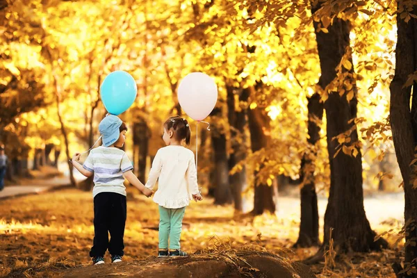 Los niños pequeños están caminando en el parque de otoño —  Fotos de Stock