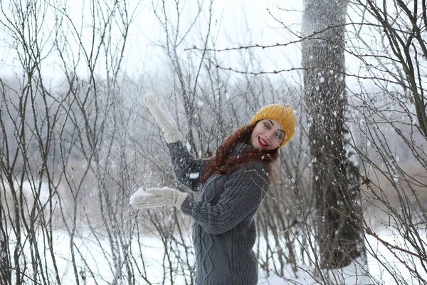 Menina bonita em um belo parque de inverno — Fotografia de Stock