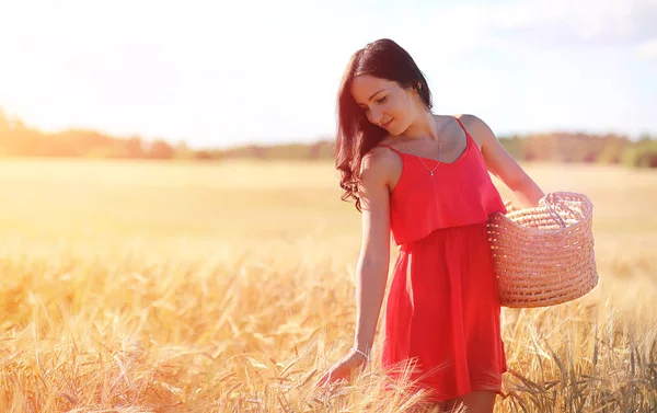 Ragazza in un campo di grano. Paesaggio estivo e una ragazza su un na — Foto Stock