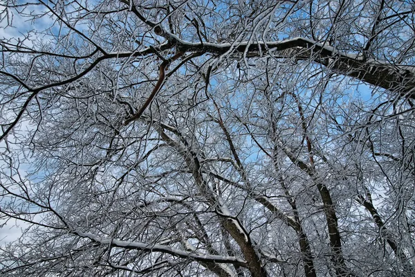 Různé Objekty Zimní Sezóny Krajina Nejlepším Této Nádherné Období — Stock fotografie