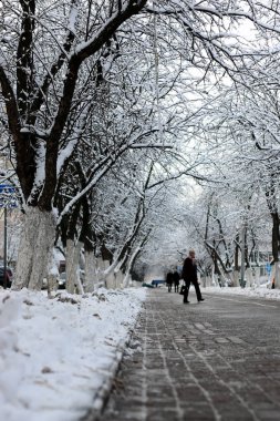 yaya yolu kış ağaç